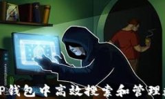 如何在TP钱包中高效搜索和