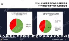 :深入解析BTM虚拟币：投资