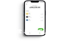 tp钱包是否需要使用美元进