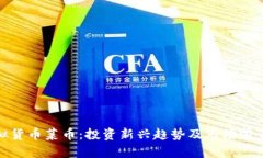 : 虚拟货币菜币：投资新兴