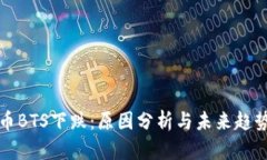 虚拟币BTS下跌：原因分析