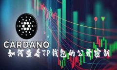 如何查看TP钱包的公开密钥