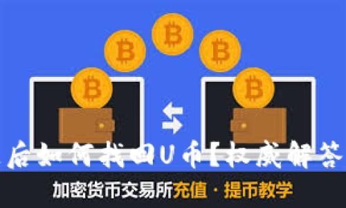 TP钱包丢失后如何找回U币？权威解答与应对策略