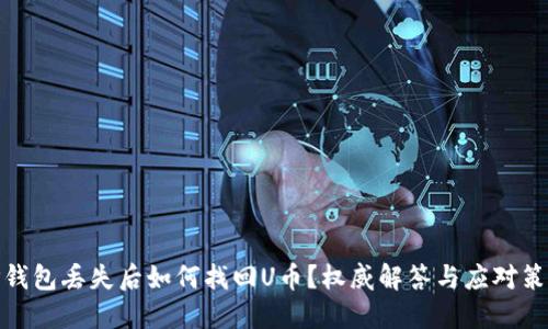 TP钱包丢失后如何找回U币？权威解答与应对策略