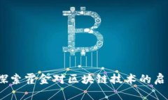 霍金虚拟币：探索霍金对