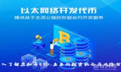 深入了解虚拟币ESD：未来