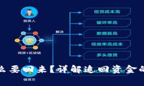 tp钱包被转走怎么要回来？详解追回资金的步骤与注意事项