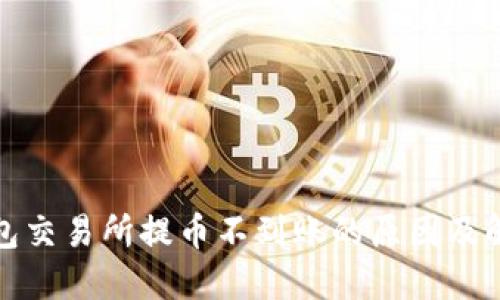 : TP钱包交易所提币不到账的原因及解决方案
