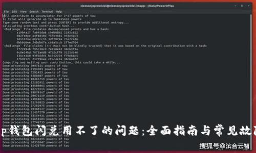 解决tp钱包闪兑用不了的问题：全面指南与常见故障排查