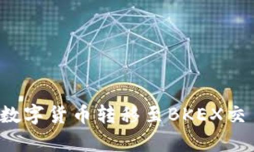 如何将TP钱包中的数字货币转移至BKEX交易所？详细步骤解析