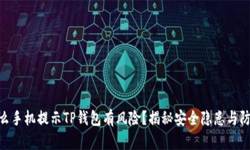 : 为什么手机提示TP钱包有风险？揭秘安全隐患与防护措施