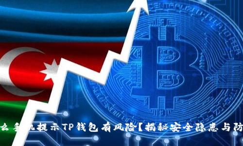 : 为什么手机提示TP钱包有风险？揭秘安全隐患与防护措施