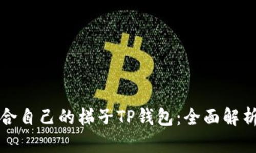 如何选择适合自己的梯子TP钱包：全面解析与使用指南