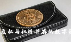 虚拟币投注：危机与机遇