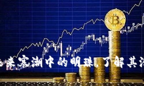 SONM虚拟币：未来寒潮中的明珠，了解其潜力与投资机会
