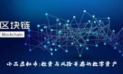 小品虚拟币：投资与风险