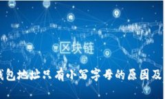 TP钱包地址只有小写字母的
