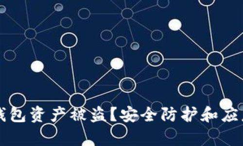 如何防止TP钱包资产被盗？安全防护和应急措施全解析