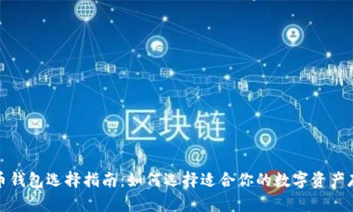 数字货币钱包选择指南：如何选择适合你的数字资产存储工具
