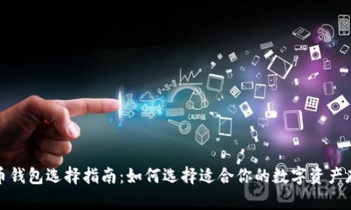 数字货币钱包选择指南：如何选择适合你的数字资产存储工具