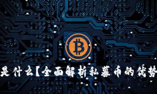 私募币是什么？全面解析私募币的优势与风险