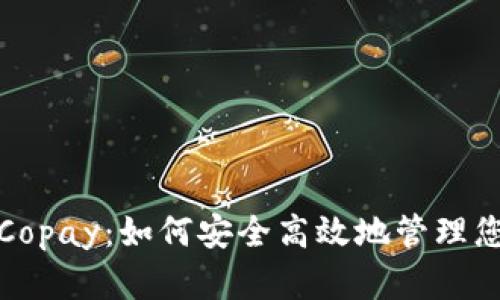 探索虚拟币Copay：如何安全高效地管理您的数字资产