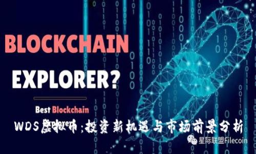 WDS虚拟币：投资新机遇与市场前景分析