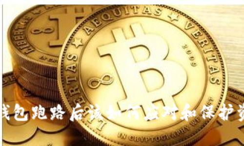 TP钱包跑路后该如何应对和保护资产