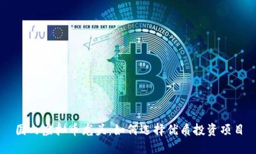 国内虚拟币龙头：如何选择优质投资项目
