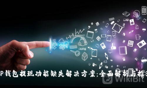 TP钱包提现功能缺失解决方案：全面解析与推荐