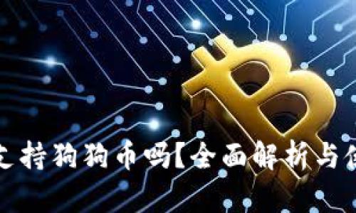 tp钱包支持狗狗币吗？全面解析与使用指南