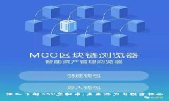 深入了解BSV虚拟币：未来