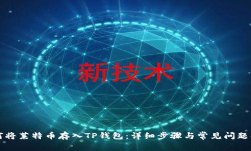 如何将莱特币存入TP钱包：详细步骤与常见问题解析