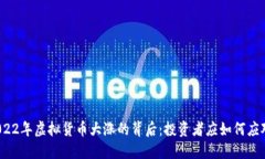 2022年虚拟货币大涨的背后