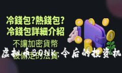 全面解析虚拟币BONK：今后