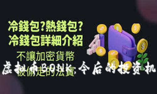 全面解析虚拟币BONK：今后的投资机会与风险