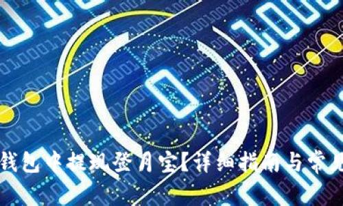 如何在TP钱包中提现登月宝？详细指南与常见问题解答