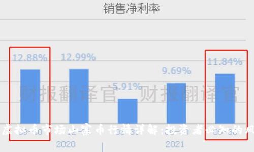 当前虚拟币市场山寨币行情详解：投资者必知的风向标