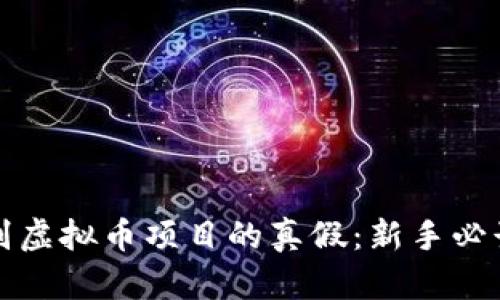 如何辨别虚拟币项目的真假：新手必读的指南