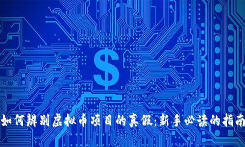 如何辨别虚拟币项目的真假：新手必读的指南