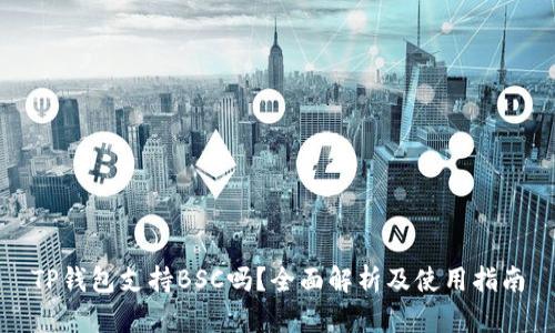 TP钱包支持BSC吗？全面解析及使用指南