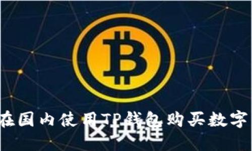 如何在国内使用TP钱包购买数字货币？