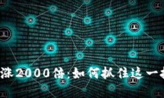 虚拟币暴涨2000倍：如何抓
