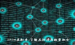  IPIM虚拟币：了解其潜力与