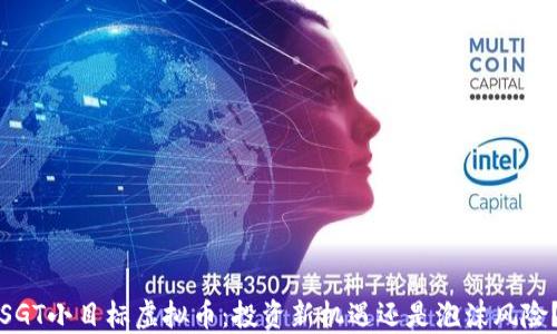 
SGT小目标虚拟币：投资新机遇还是泡沫风险？