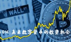 虚拟币OM：未来数字货币的