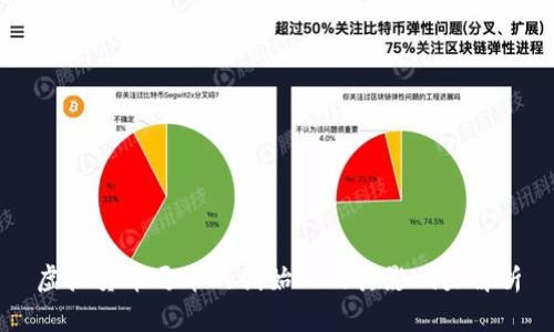 虚拟货币马币的创始人及其影响力解析