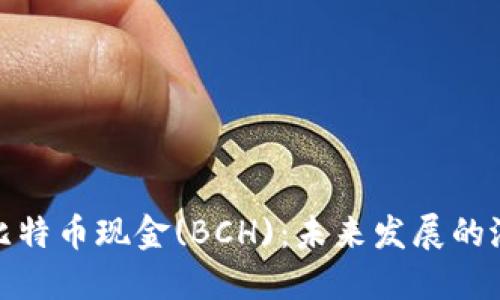 深入探索比特币现金(BCH)：未来发展的潜力与风险