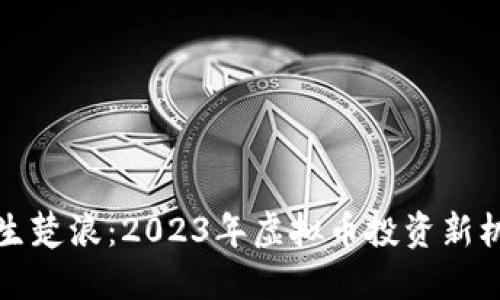 重生楚浪：2023年虚拟币投资新机遇
