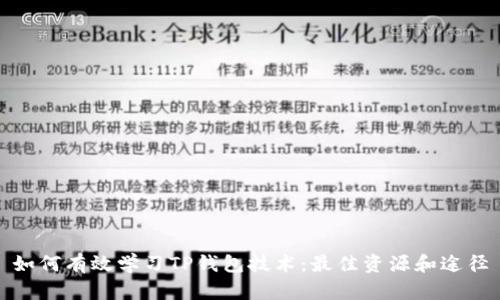 如何有效学习TP钱包技术：最佳资源和途径